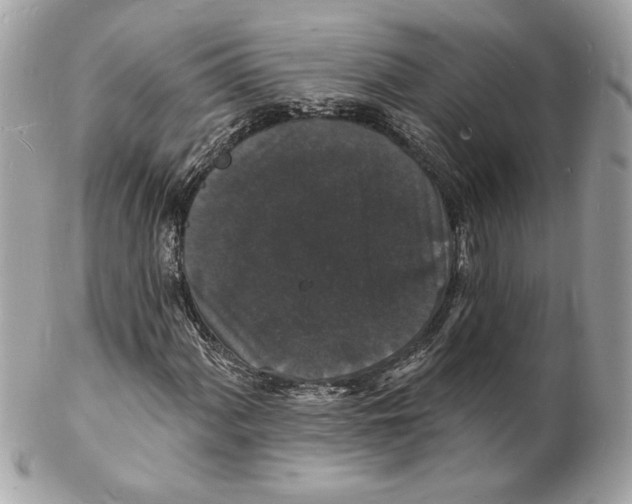 X0000102231060200808151724