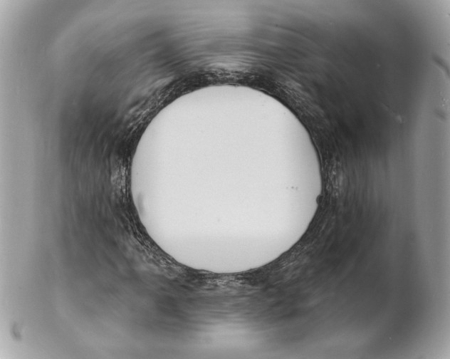 X0000102231061200808151724
