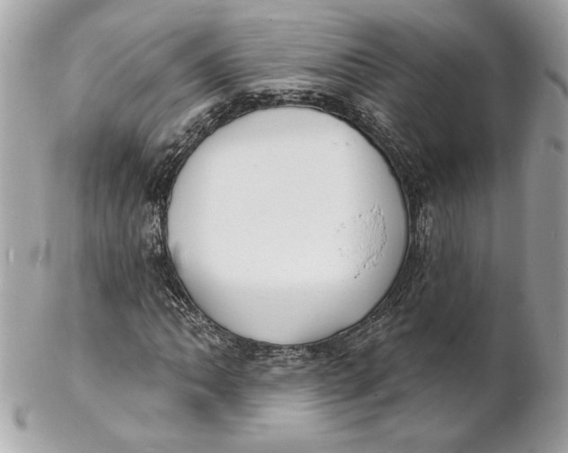 X0000102231062200808151724