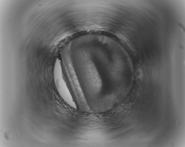 X0000102231063200808151724