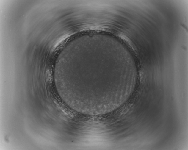 X0000102231064200808151724