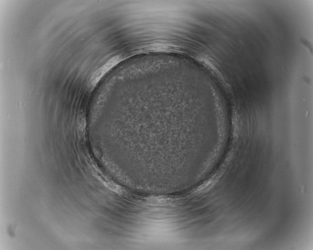 X0000102231065200808151724