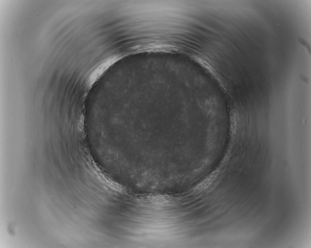 X0000102231066200808151724