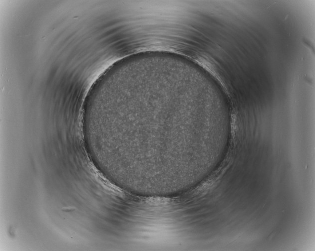 X0000102231068200808151724