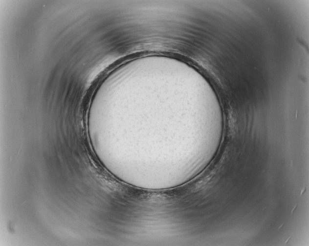 X0000102231070200808151724