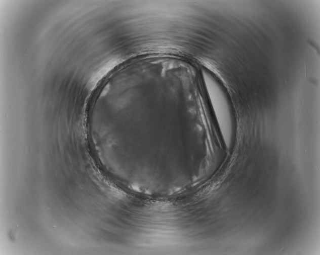 X0000102231071200808151724