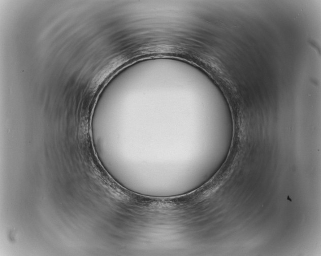 X0000102231073200808151724