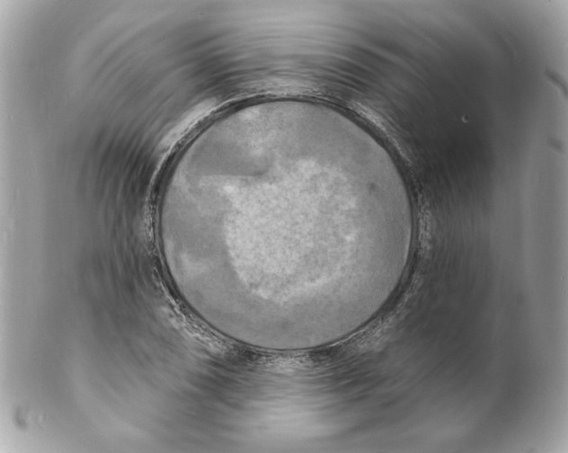 X0000102231074200808151724