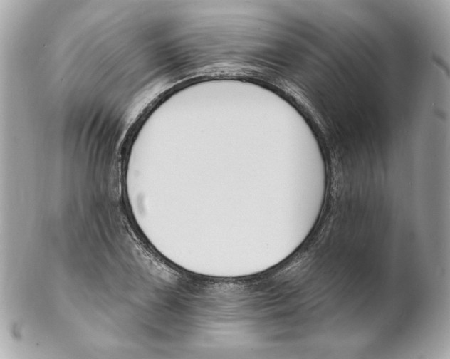 X0000102231075200808151724