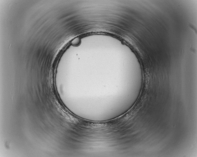 X0000102231076200808151724