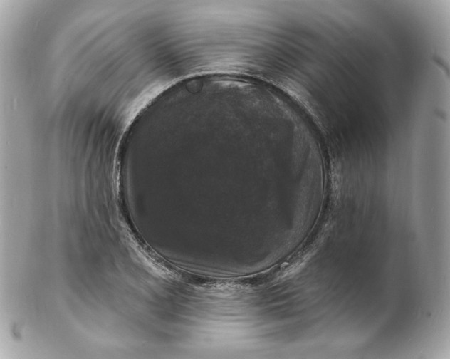 X0000102231077200808151724