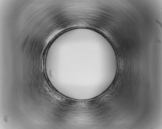 X0000102231078200808151724