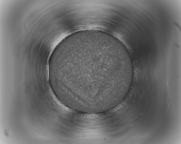 X0000102231079200808151724