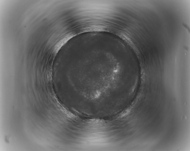 X0000102231081200808151723