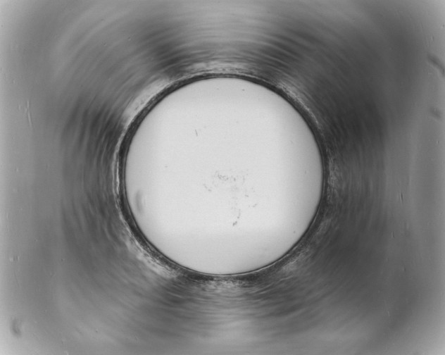 X0000102231082200808151723