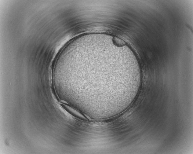 X0000102231083200808151723