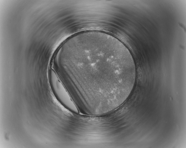 X0000102231084200808151723