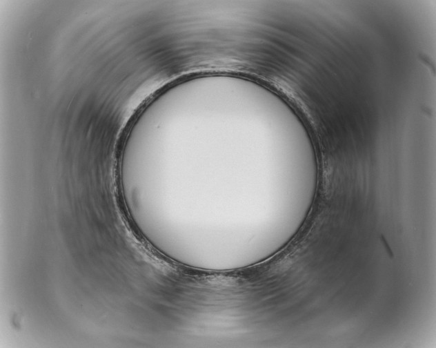 X0000102231085200808151723