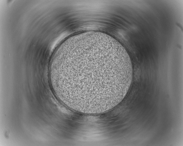 X0000102231086200808151723