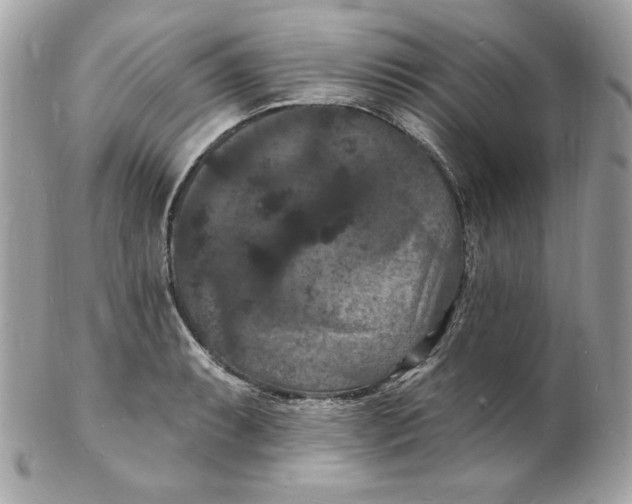 X0000102231087200808151723
