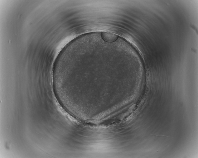 X0000102231088200808151723