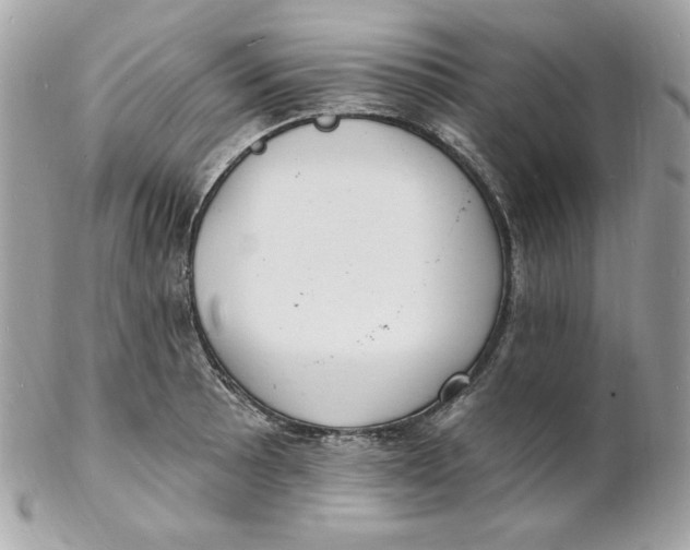 X0000102231089200808151723