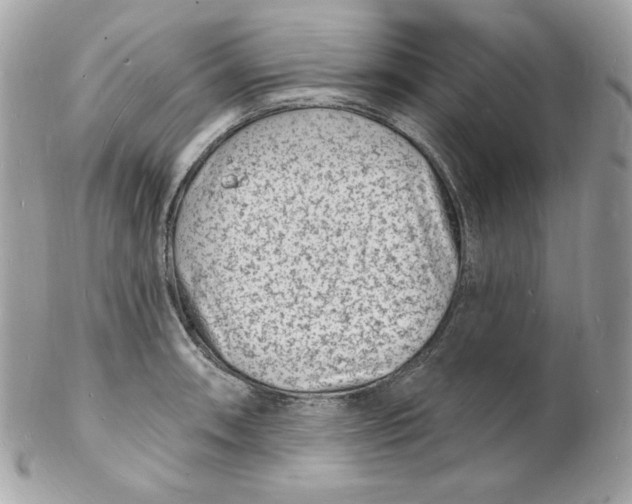 X0000102231090200808151723