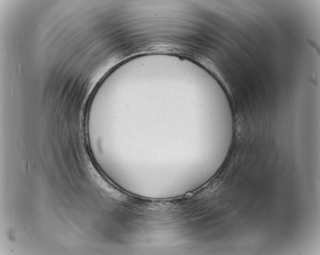 X0000102231091200808151723