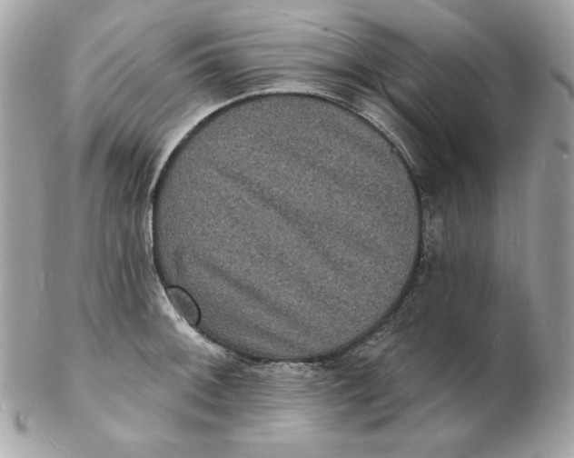 X0000102231092200808151723