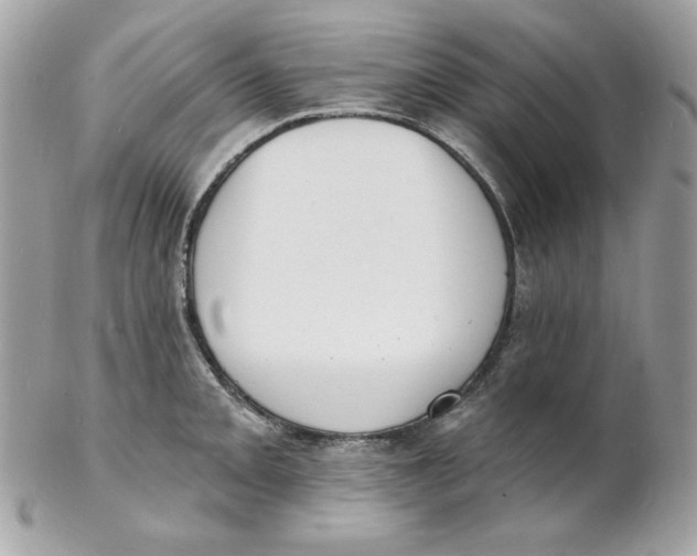X0000102231093200808151723