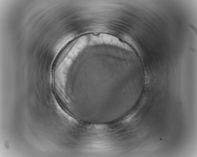 X0000102231095200808151723