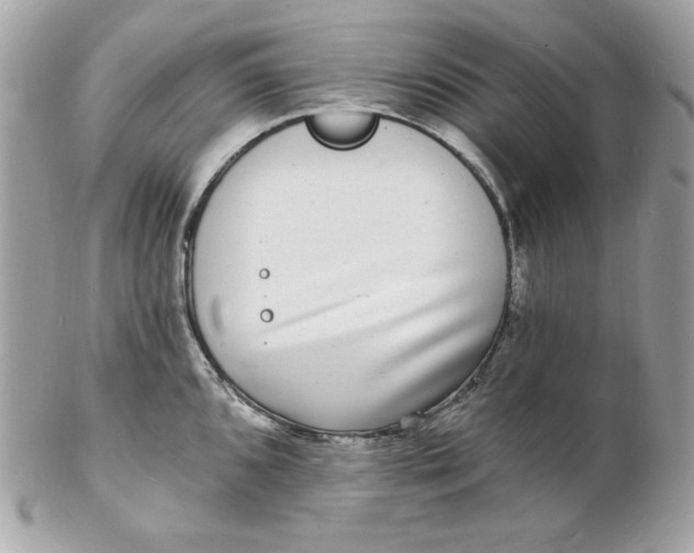 X0000102231096200808151723