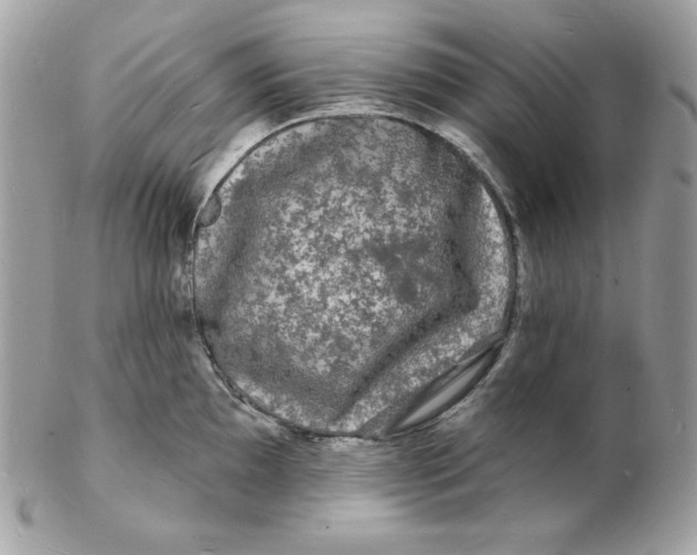 X0000102231097200808151723
