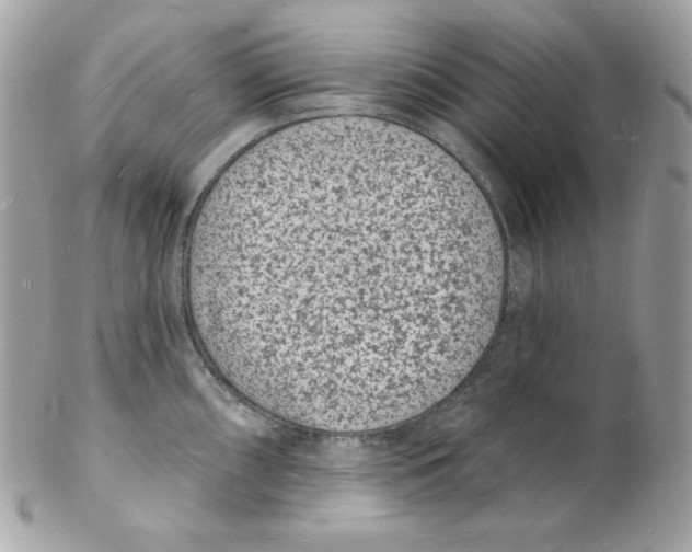 X0000102231098200808151723