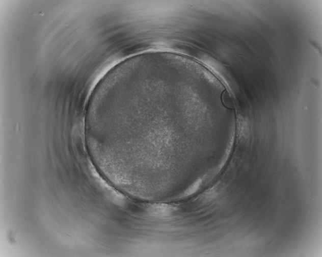 X0000102231100200808151723