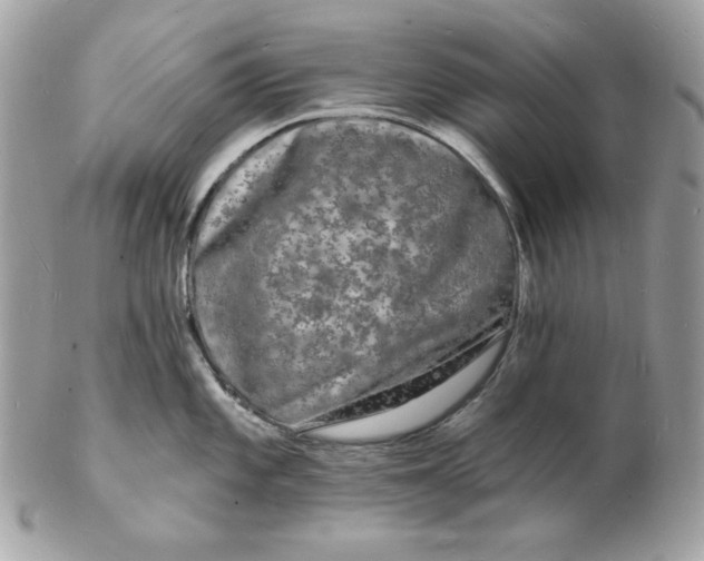 X0000102231101200808151723