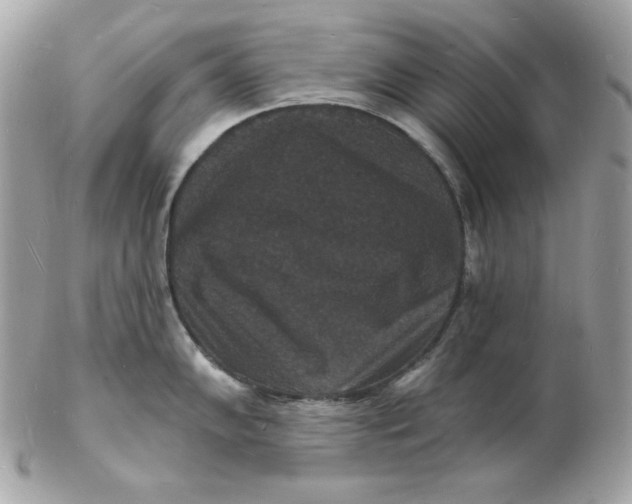 X0000102231102200808151723