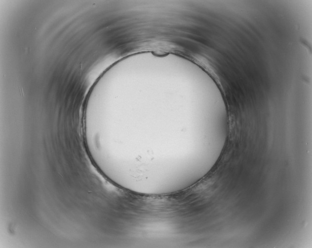X0000102231103200808151723