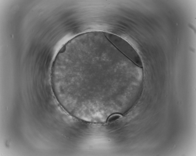X0000102231104200808151723