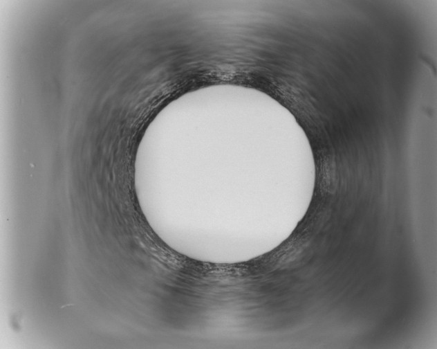 X0000102231105200808151722