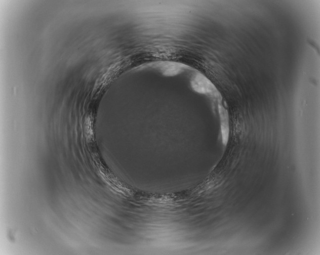 X0000102231106200808151722