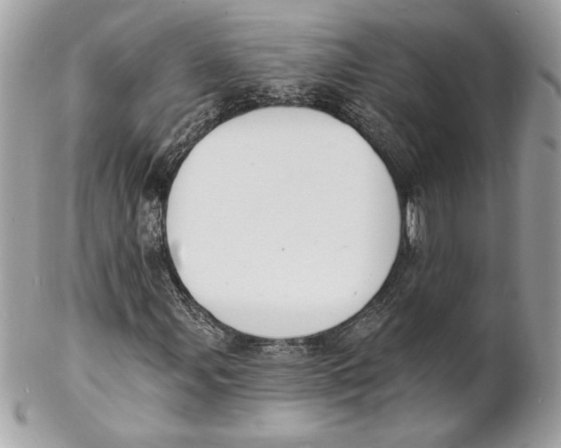 X0000102231107200808151722