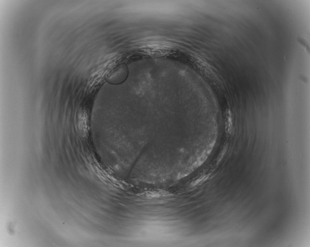 X0000102231108200808151722