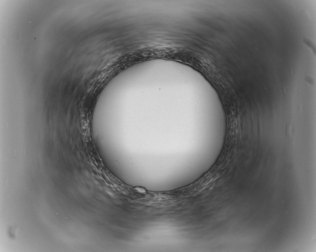 X0000102231109200808151722