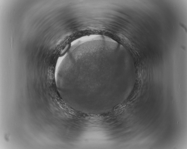 X0000102231110200808151722