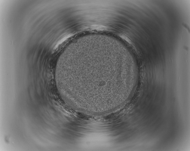 X0000102231112200808151722
