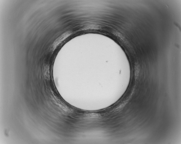 X0000102231113200808151722