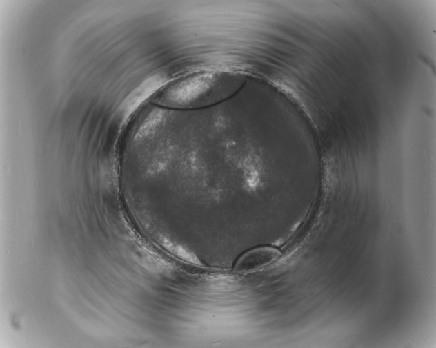 X0000102231114200808151722