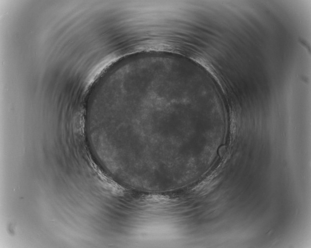 X0000102231115200808151722