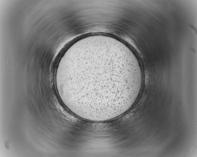 X0000102231116200808151722